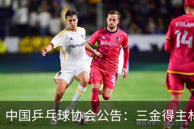 中国乒乓球协会公告：三金得主林诗栋因伤缺席亚洲锦标赛